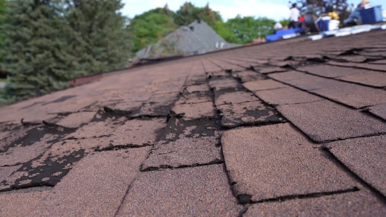 Best Skylight Installation and Repair  in Lehighton, PA