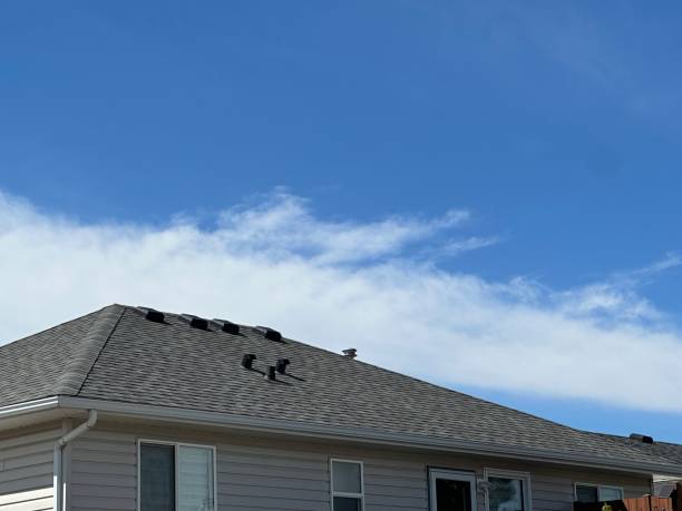 Best Roofing for New Construction  in Lehighton, PA